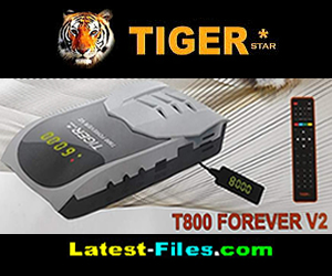 TIGER T800 FOREVER V2
